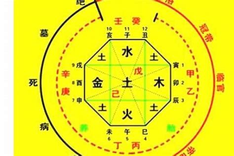 生八字|生辰八字算命、五行喜用神查询（免费测算）